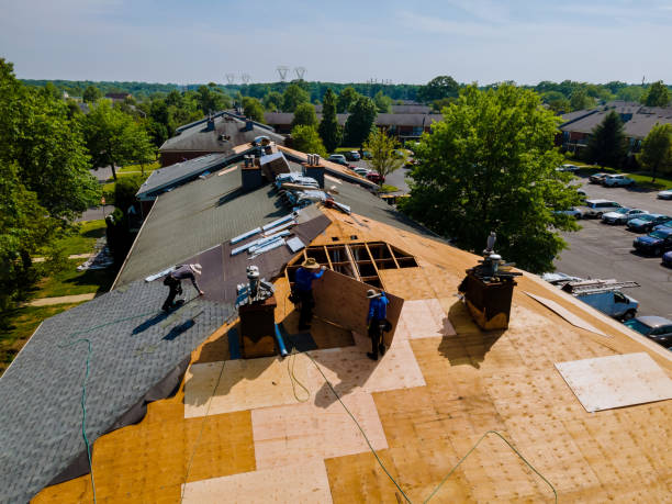 Roof Gutter Cleaning in Milroy, PA